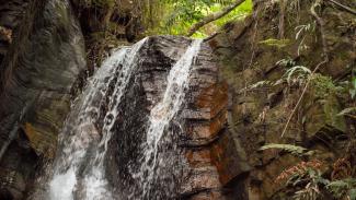 Imagem da cachoeira PAM Bioenergia